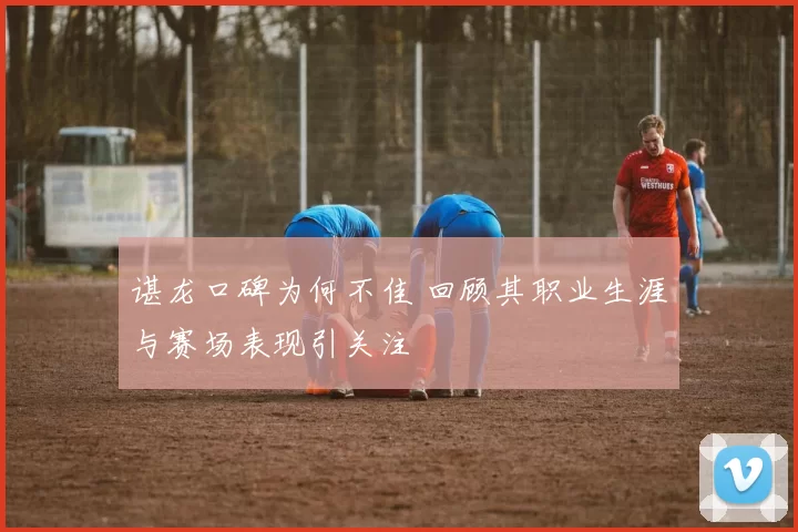 谌龙口碑为何不佳 回顾其职业生涯与赛场表现引关注