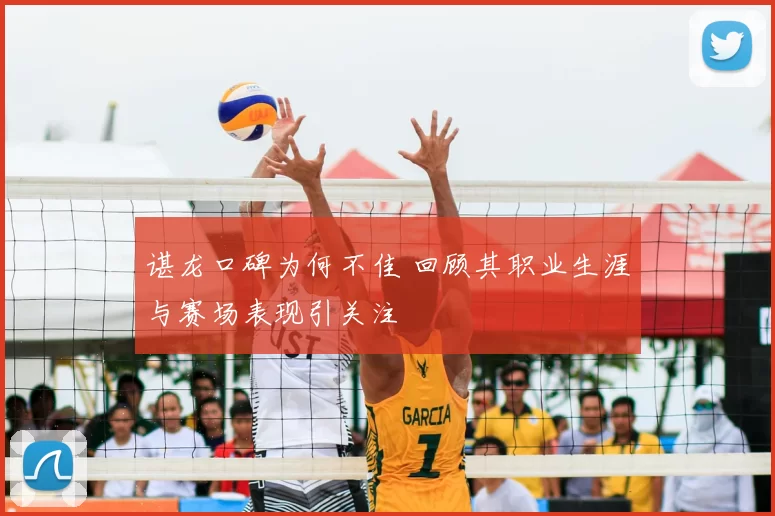 谌龙口碑为何不佳 回顾其职业生涯与赛场表现引关注