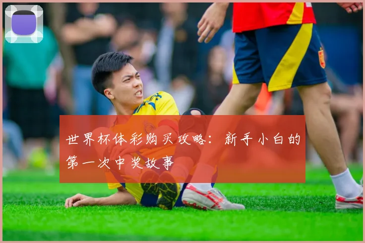 世界杯体彩购买攻略：新手小白的第一次中奖故事