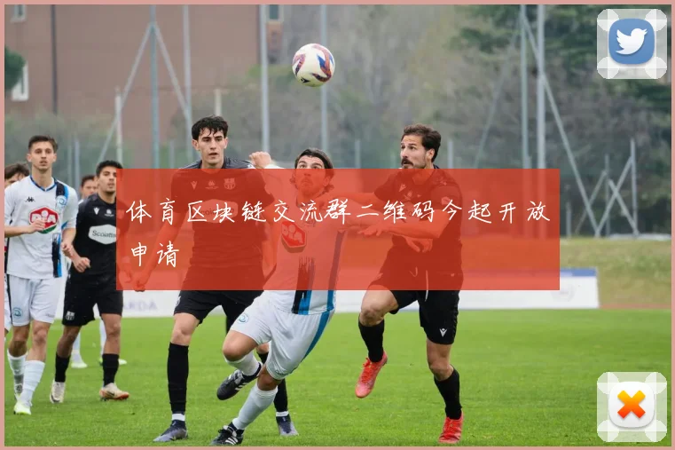 体育区块链交流群二维码今起开放申请
