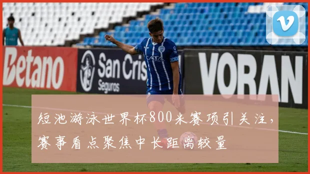 短池游泳世界杯800米赛项引关注，赛事看点聚焦中长距离较量